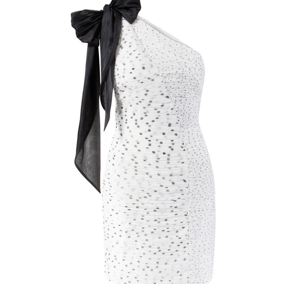 Annelise Halston, polkadot dress - Picture 6 of 15